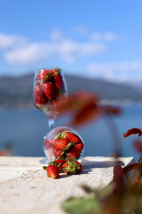 365 Tivat